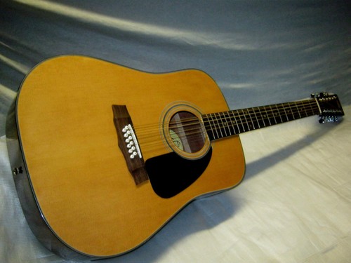 Nashville string acoustic - nashville, 12