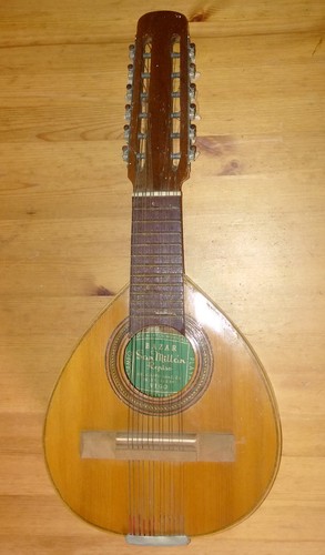 Spanische bandurria kurze - bandurria,
