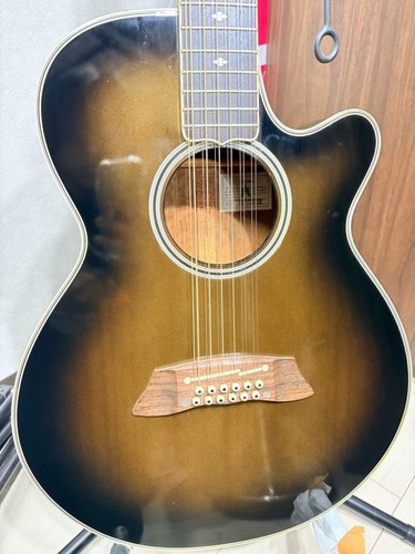 Takamine npt110 string - takamine,