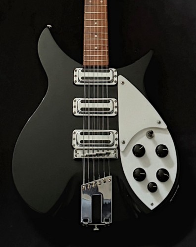 Rickenbacker 350 12 jg - 350/12,